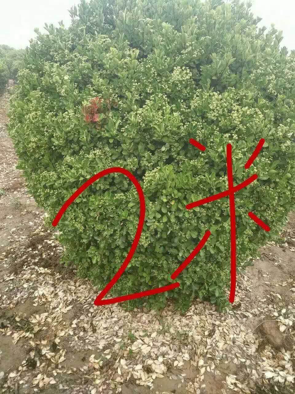 �S����