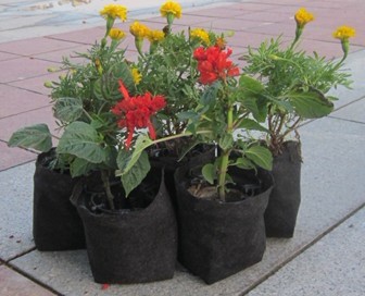 �o���������